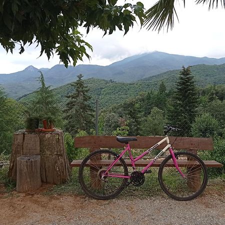 Apartamento En Pleno Montseny Mas Romeu Turisme Rural Arbúcies Екстериор снимка