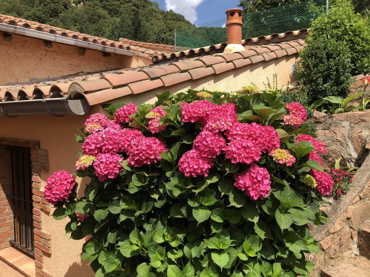 Apartamento En Pleno Montseny Mas Romeu Turisme Rural Arbúcies Екстериор снимка