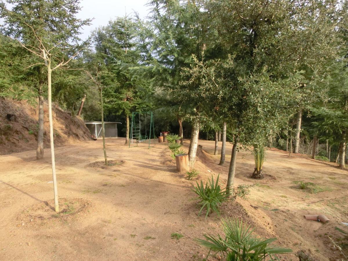 Apartamento En Pleno Montseny Mas Romeu Turisme Rural Arbúcies Екстериор снимка