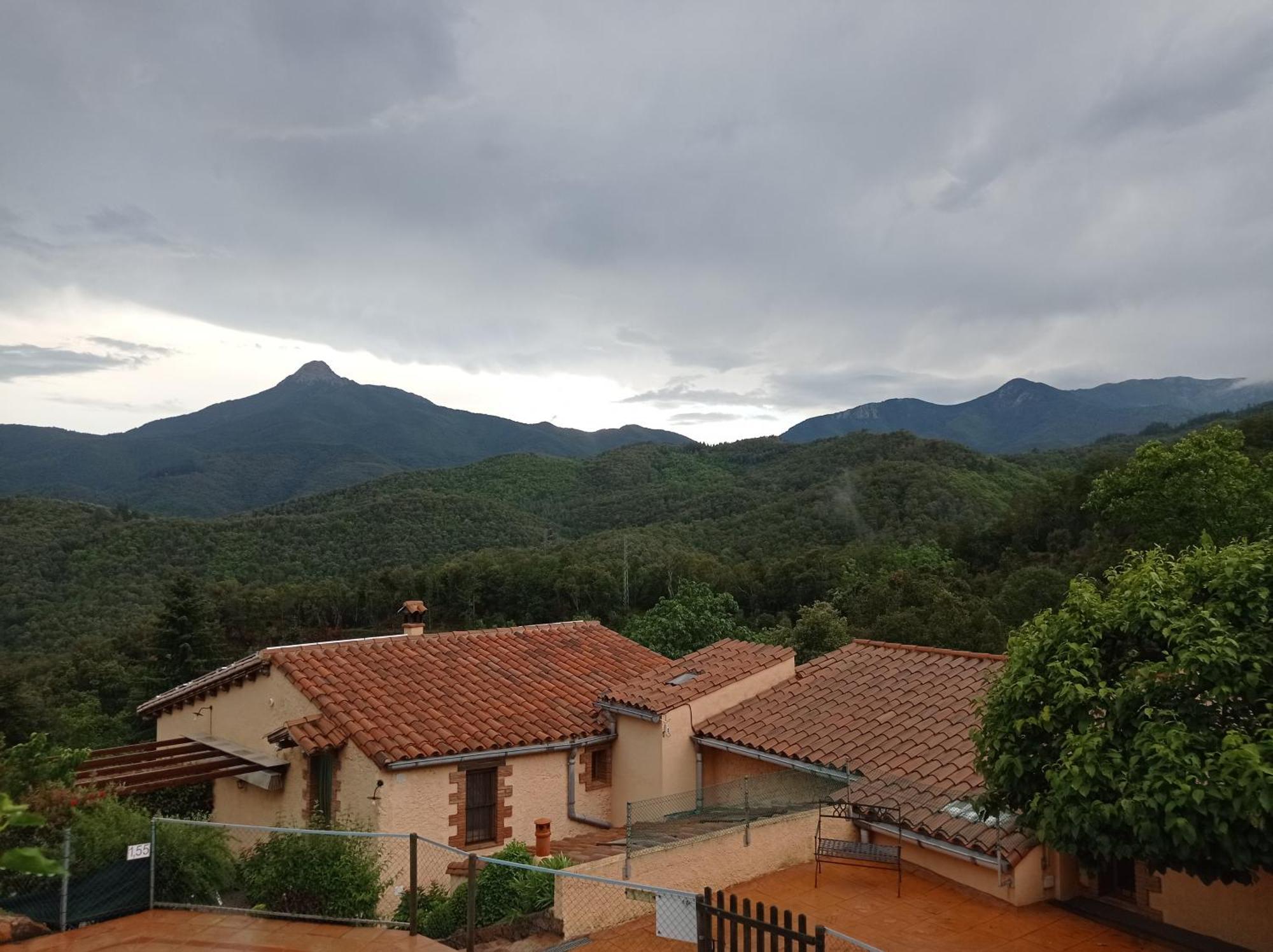 Apartamento En Pleno Montseny Mas Romeu Turisme Rural Arbúcies Екстериор снимка