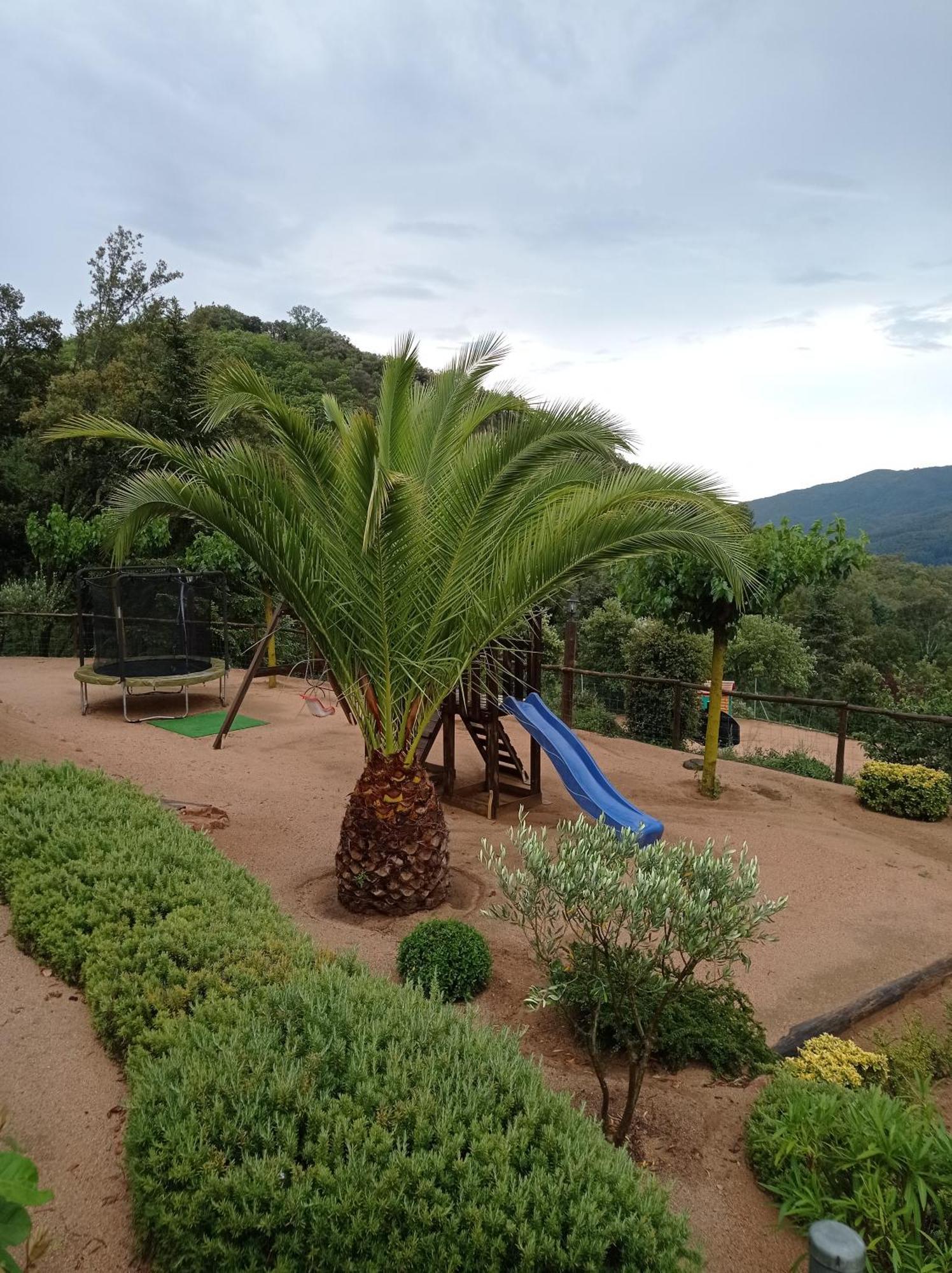 Apartamento En Pleno Montseny Mas Romeu Turisme Rural Arbúcies Екстериор снимка