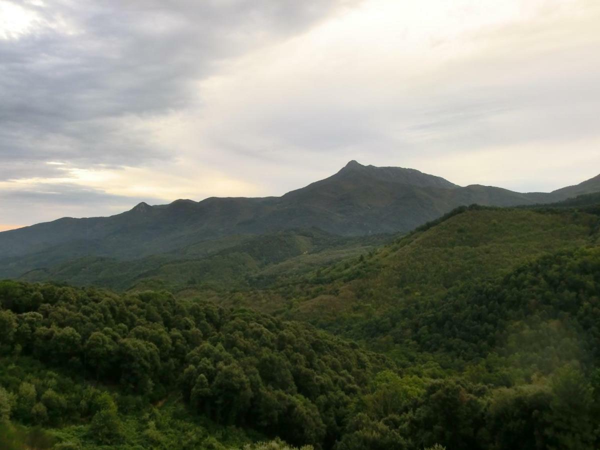 Apartamento En Pleno Montseny Mas Romeu Turisme Rural Arbúcies Екстериор снимка